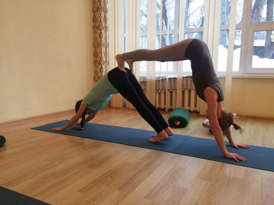 Снежный лотос