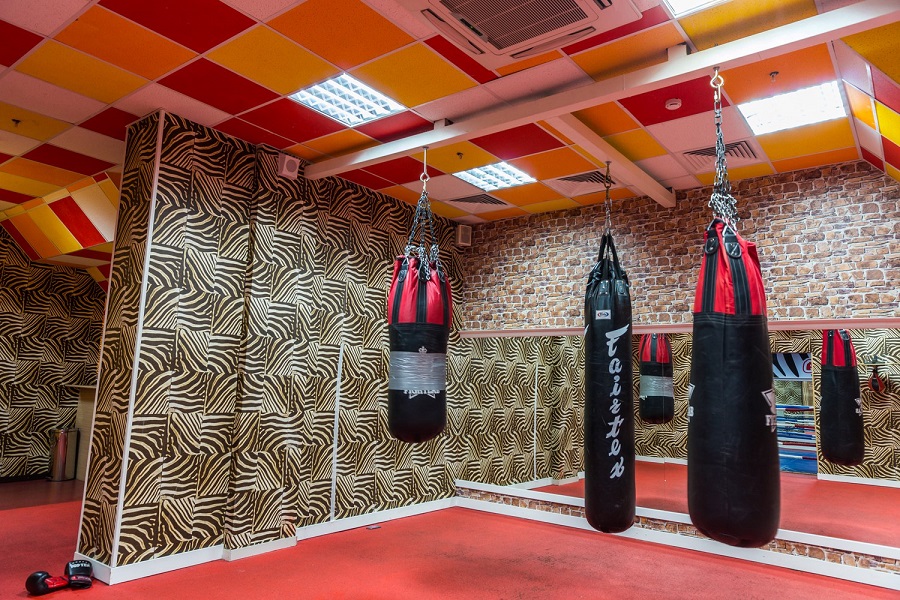 Зебра, м. Дубровка