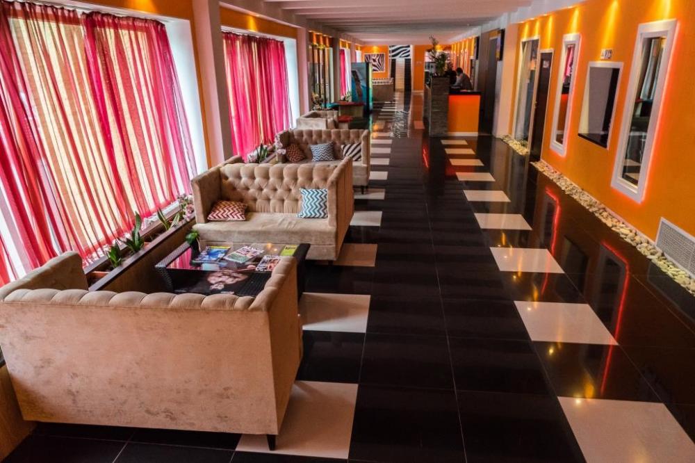 Зебра, м. Лихоборы