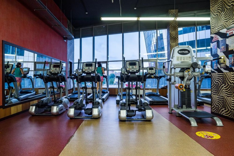 Зебра Олимпийский