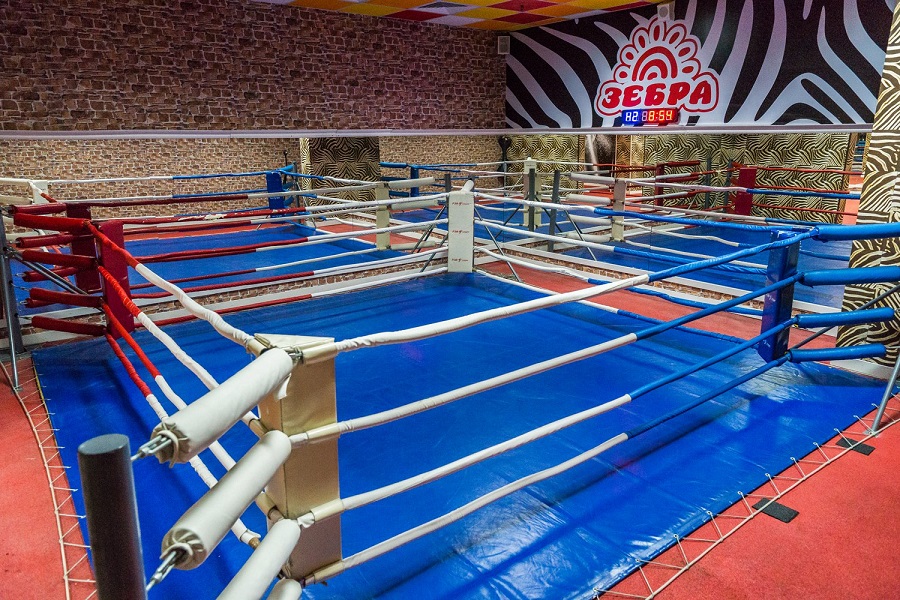 Зебра, м. Дубровка