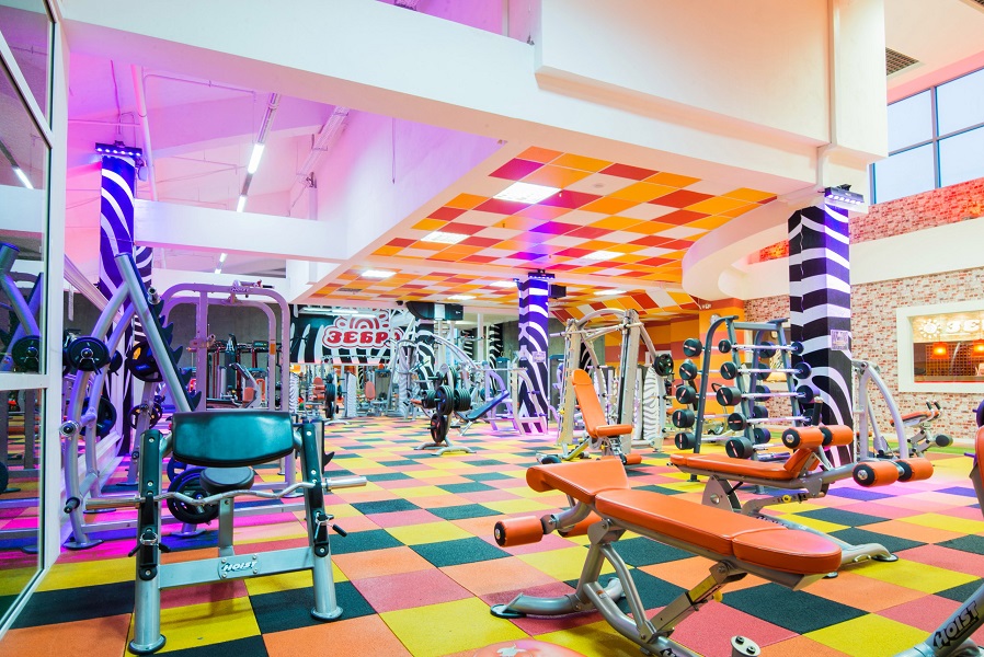 Зебра Алтуфьево