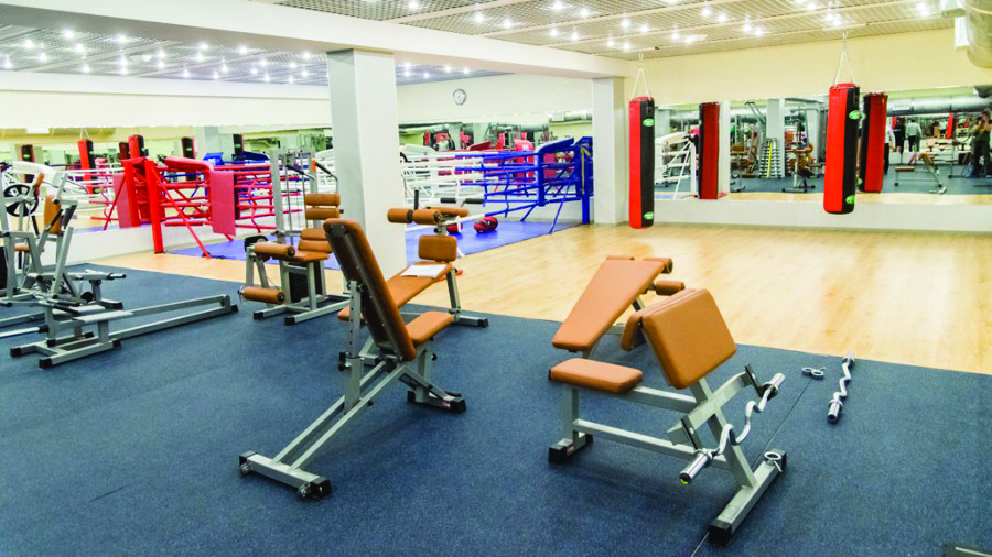 Паллада, м. Отрадное