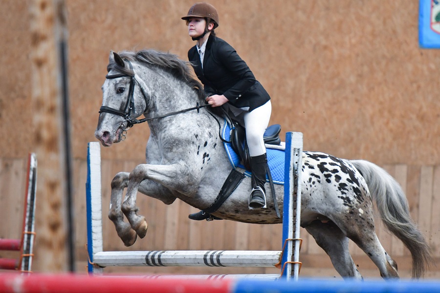 Сосновый бор