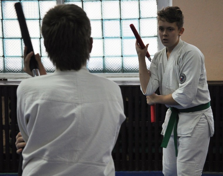 Всемирная федерация джиу-джитсу Новосибирск