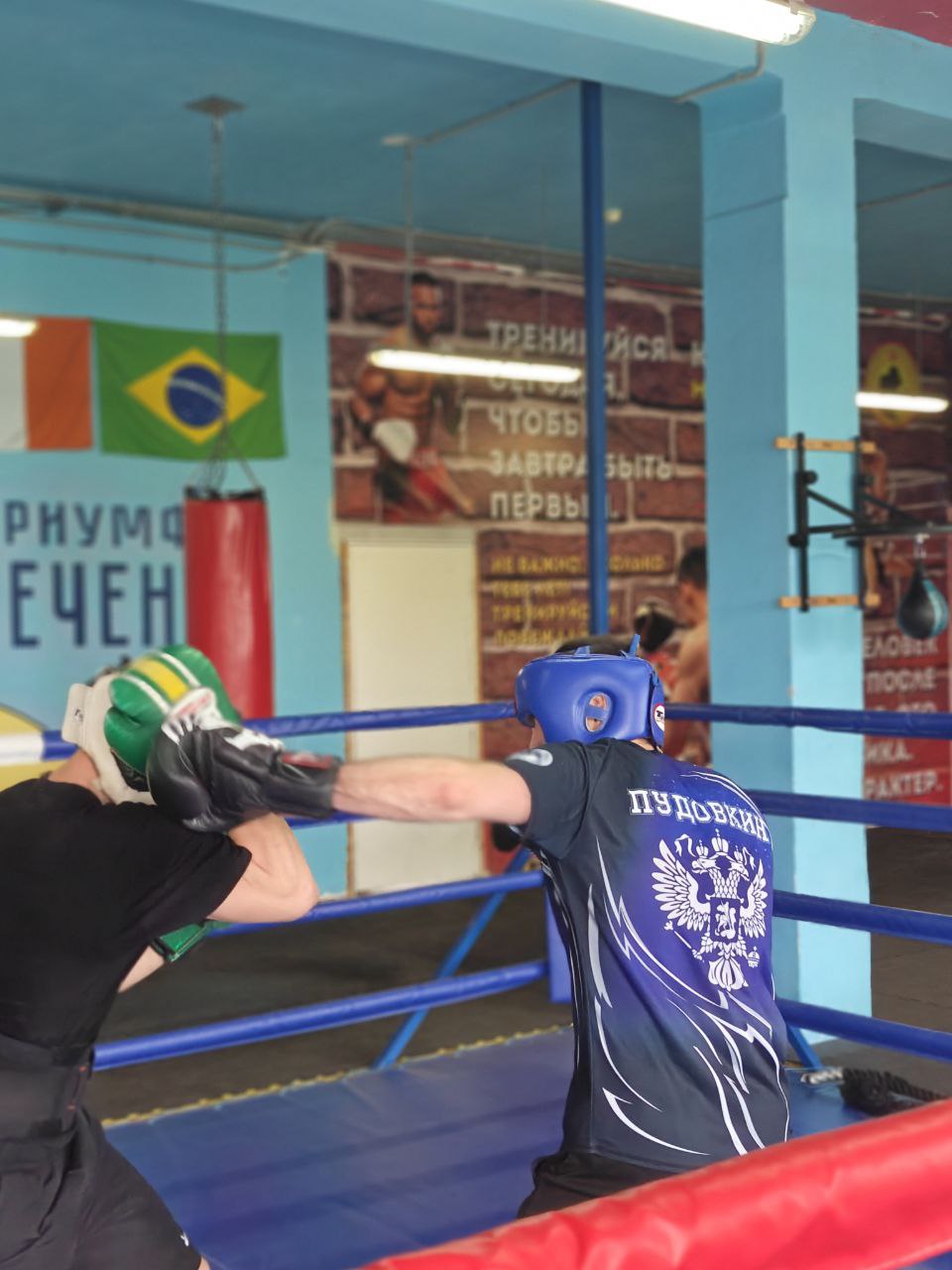 Философия Бокса