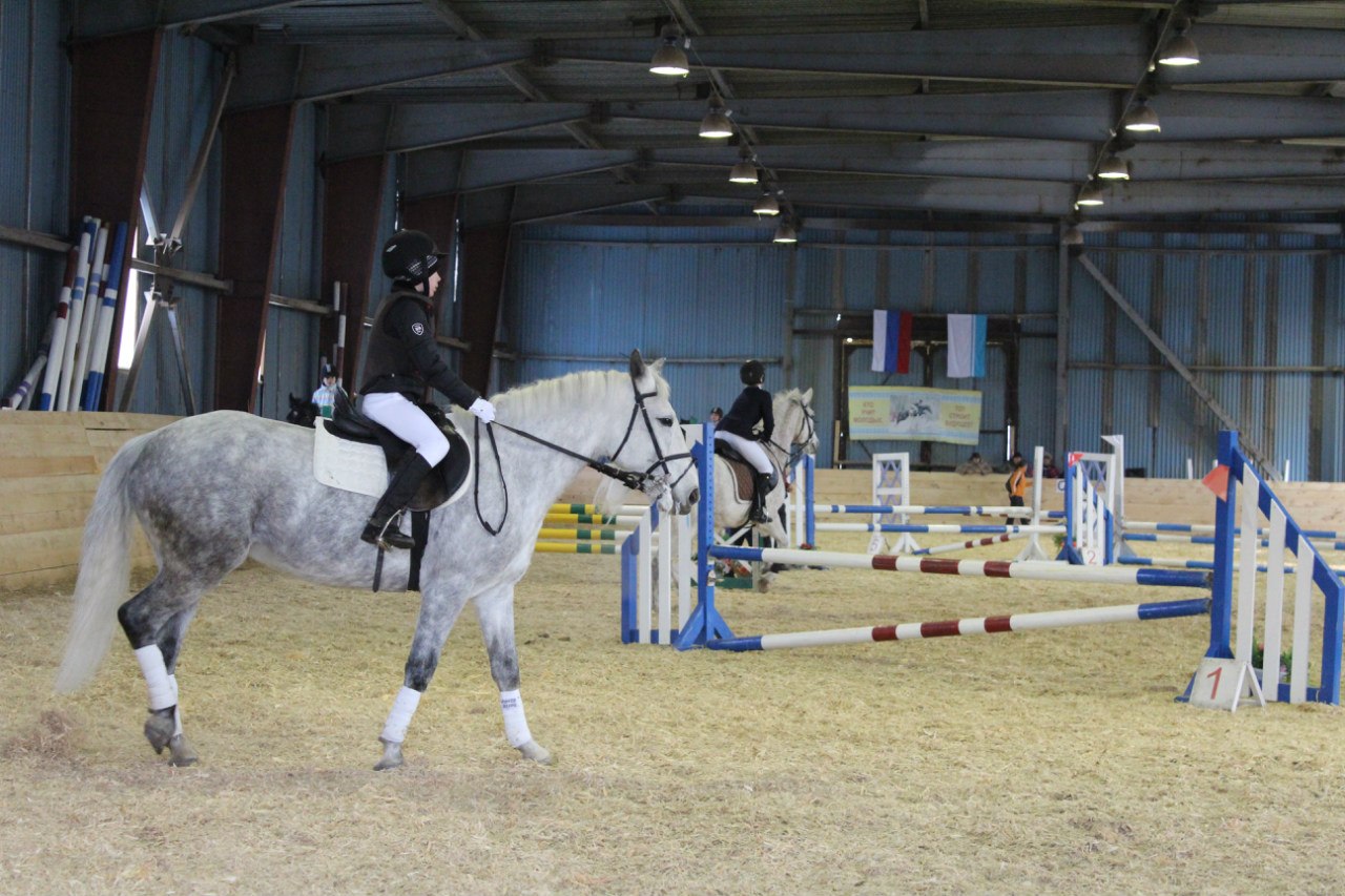 Сосновый бор