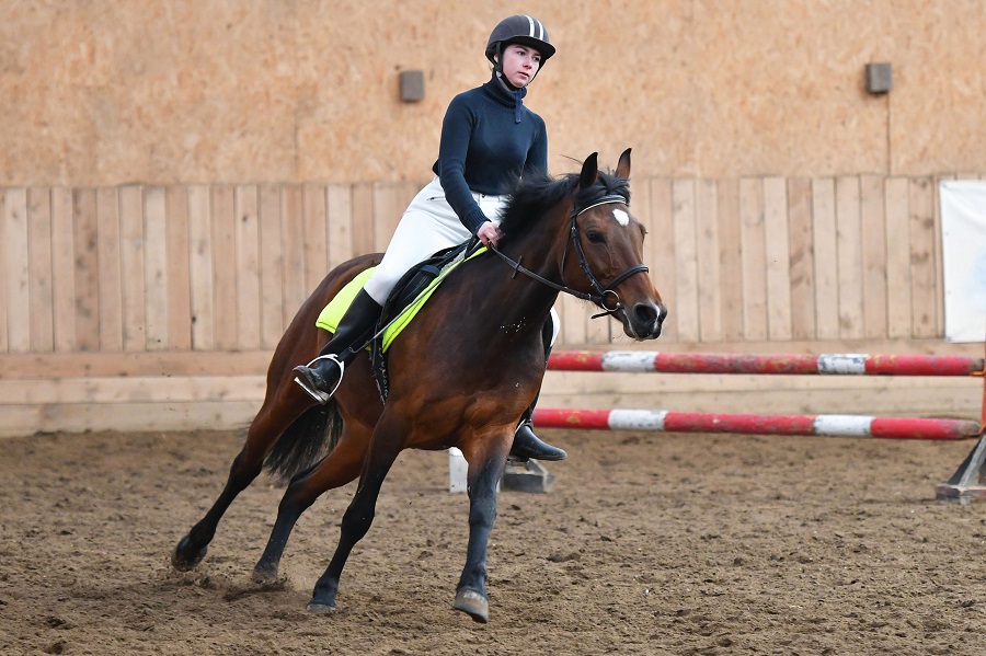 Сосновый бор