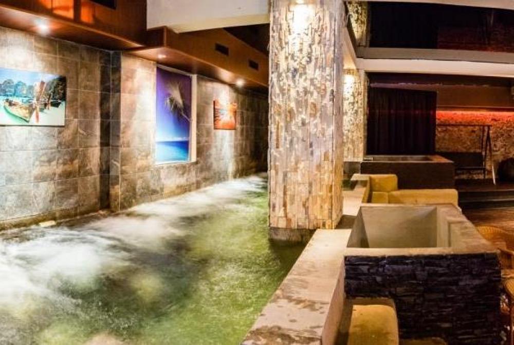 Зебра, м. Павелецкая