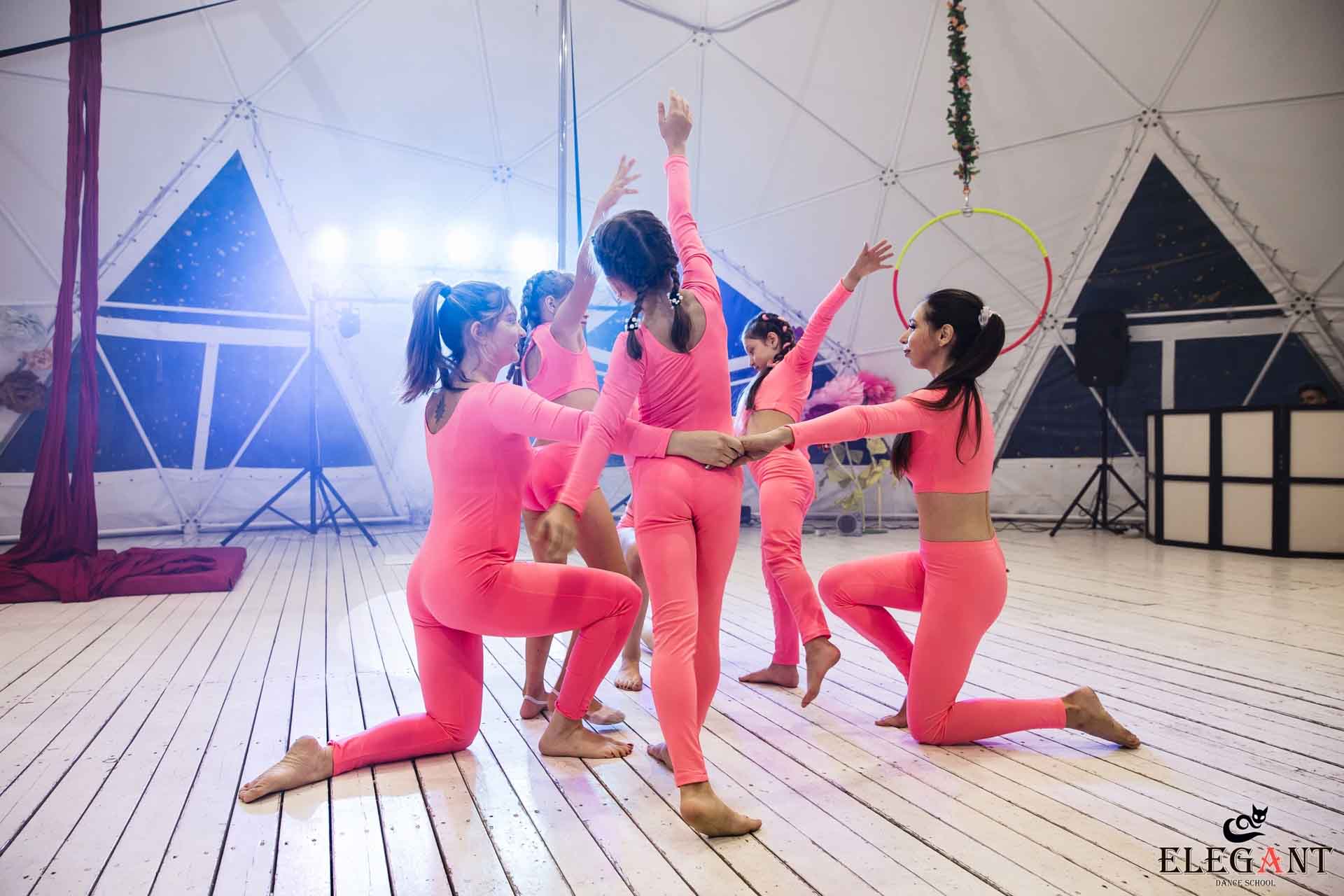 Elegant Pole Dance Kursk