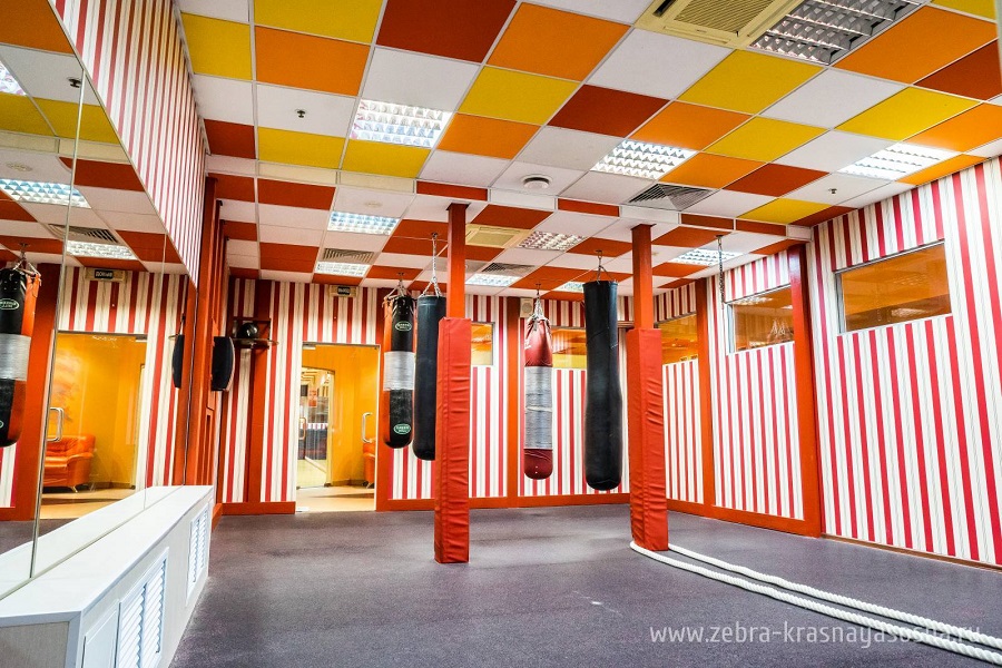 Зебра, м. Свиблово