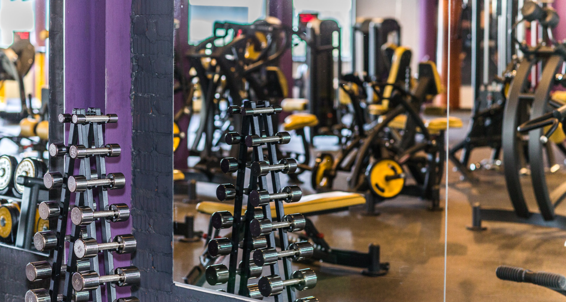 Лето Мозаика