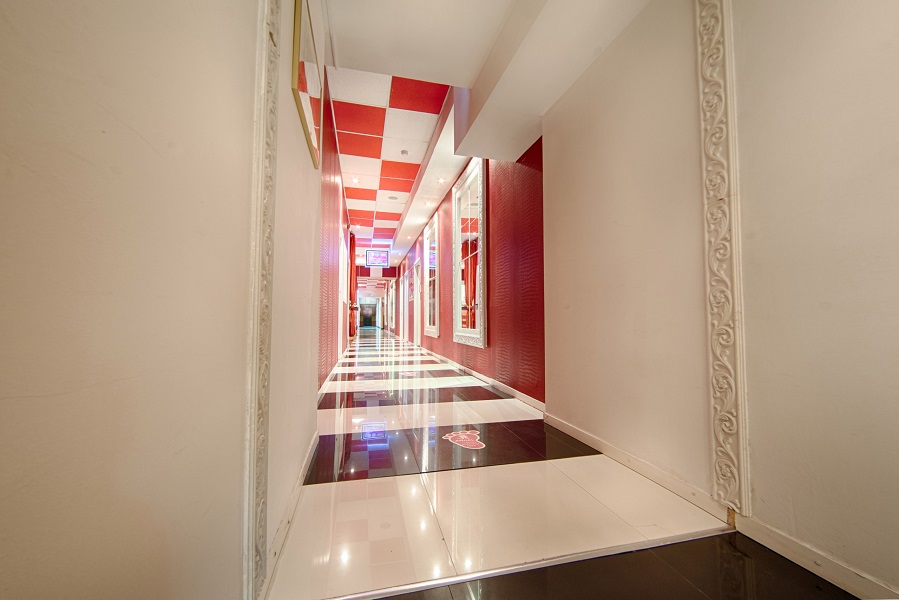 Зебра, м. Бауманская