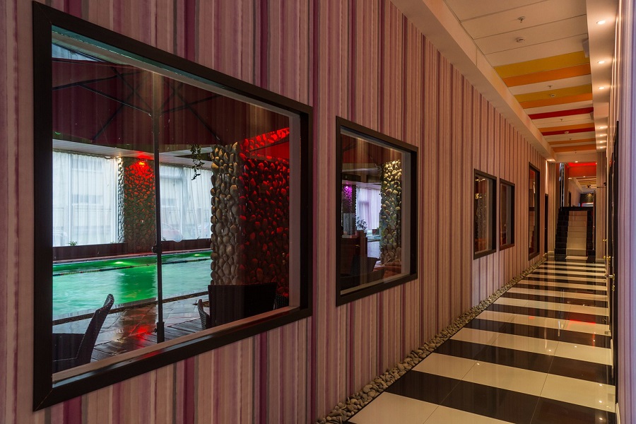 Зебра, м. Дубровка