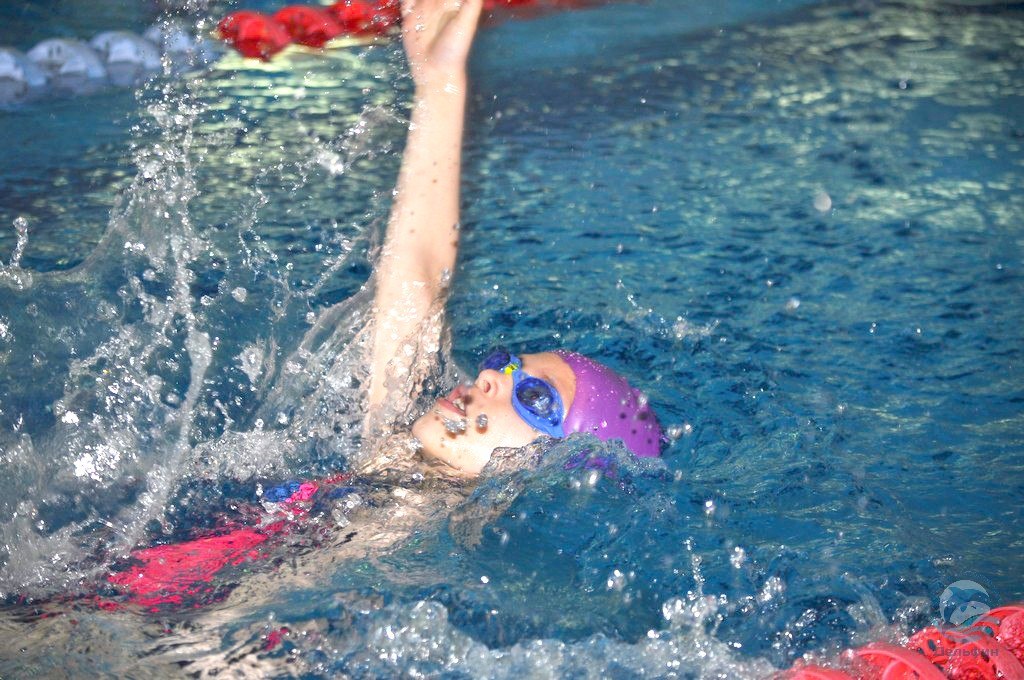 Дельфин, ул. Кропоткина