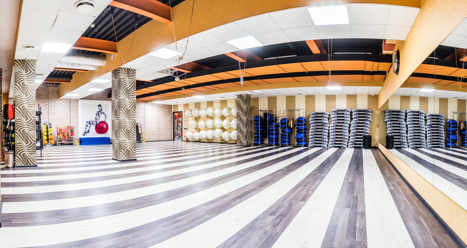 Зебра, м. Автозаводская