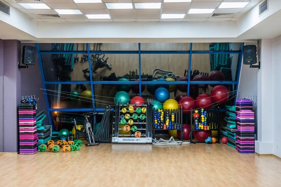 Зебра, г. Щёлково