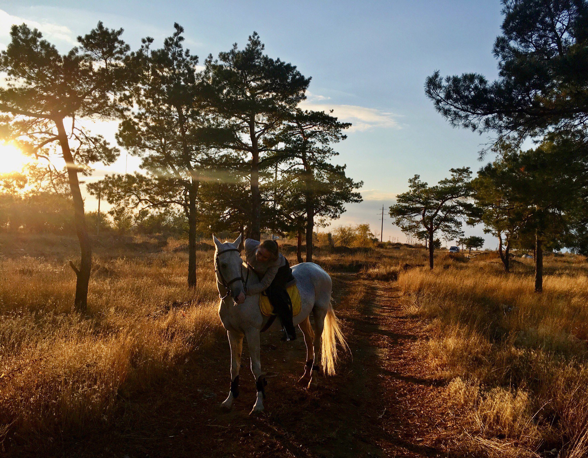 Конноспортивный клуб «Фаворит»