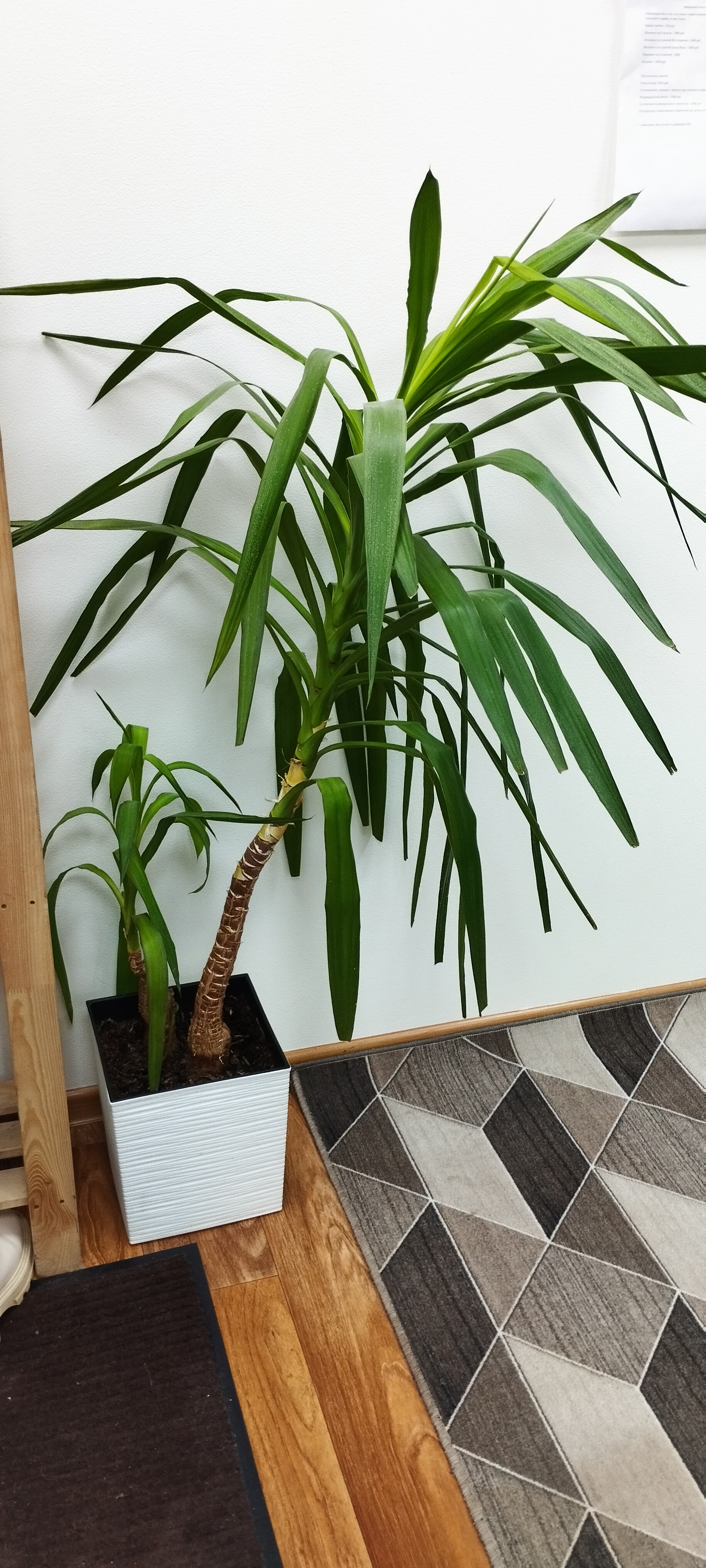 Академия Йогатерапии Татьяны Васильевой