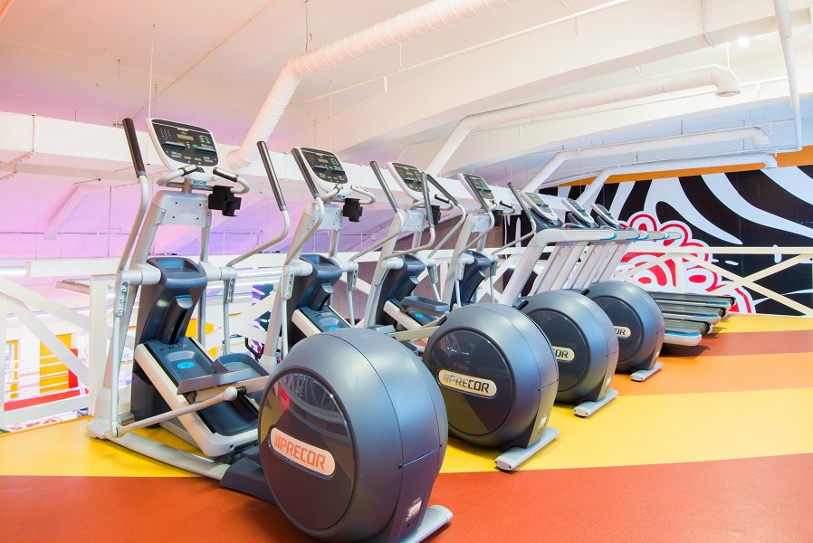 Зебра Алтуфьево