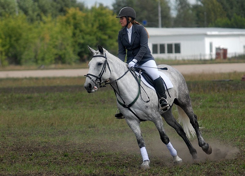 Сосновый бор