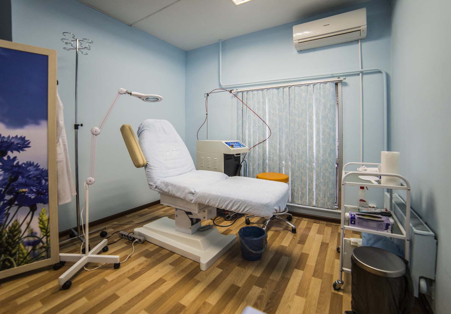 Большая семья