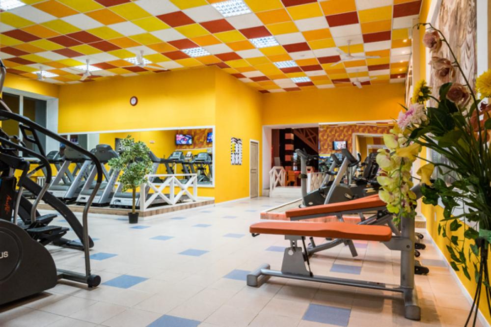 Зебра, м. Калужская