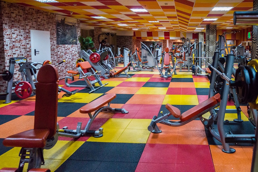 Зебра, м. Дубровка