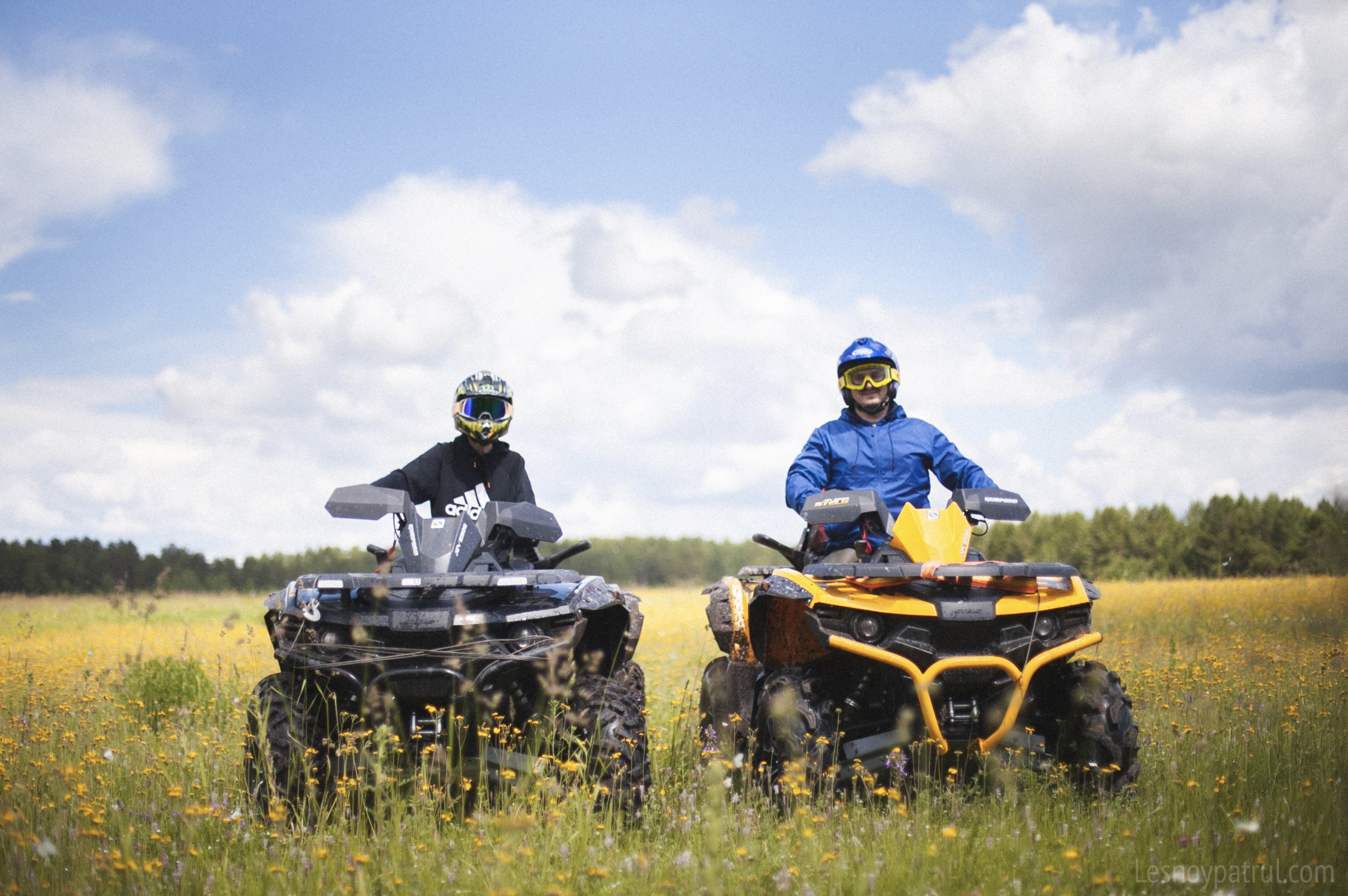 Лесной патруль