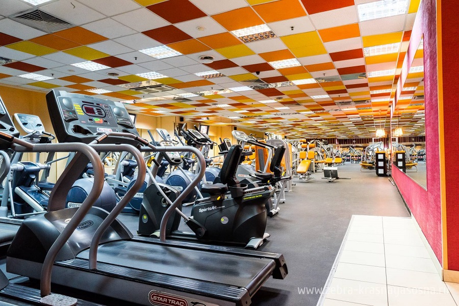 Зебра, м. Свиблово