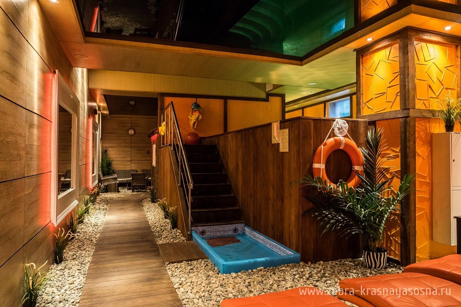 Зебра, м. Свиблово