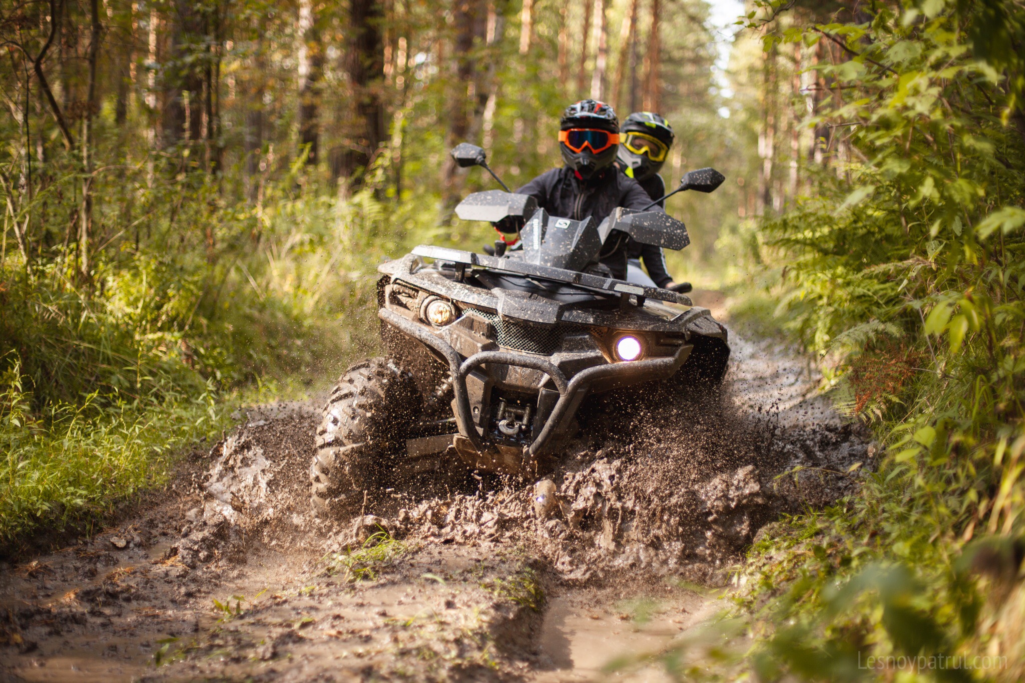 Лесной патруль