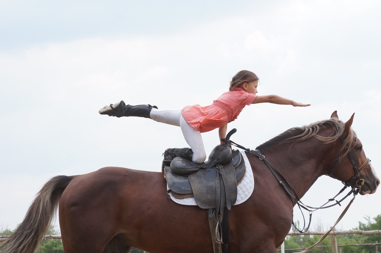 Конноспортивный клуб «Фаворит»