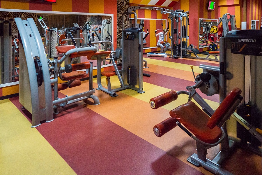 Зебра, м. Дубровка