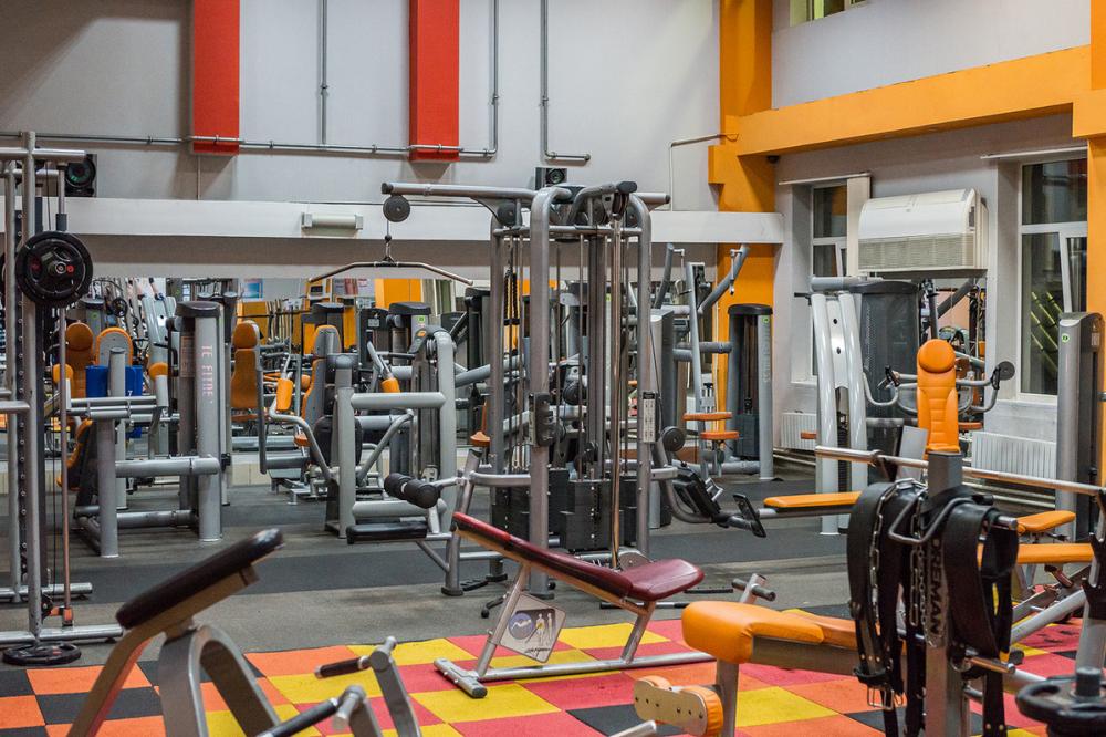 Зебра, м. Нижегородская