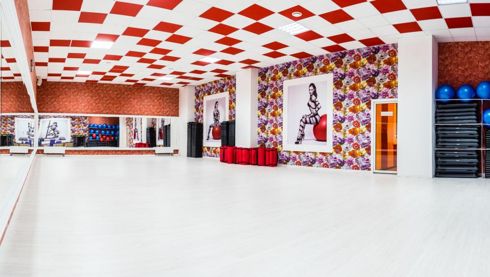 Зебра, м. Медведково