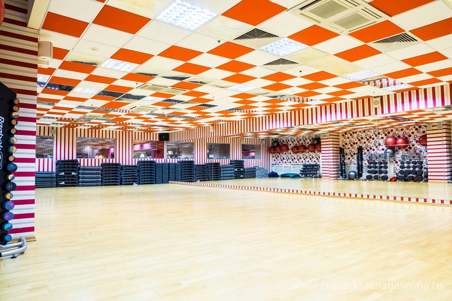 Зебра, м. Свиблово