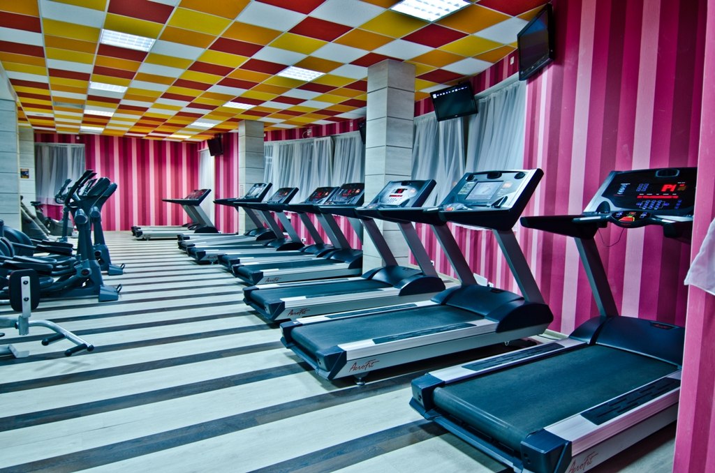 Зебра, м. Бабушкинская