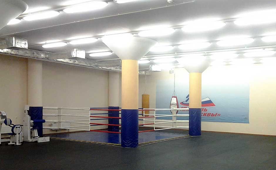ElitBoxing, м. Динамо