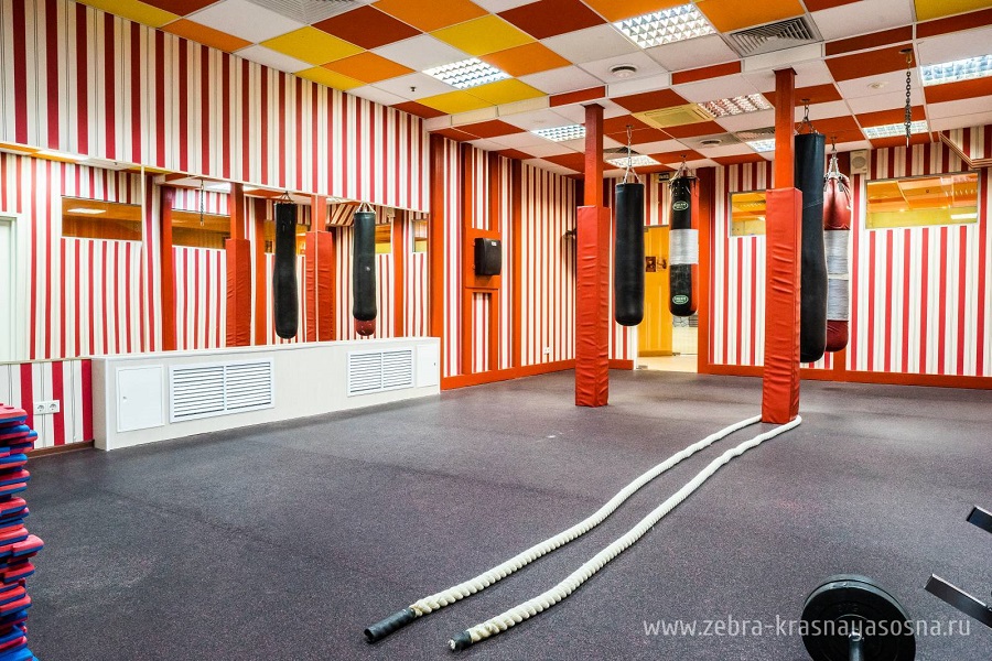 Зебра, м. Свиблово