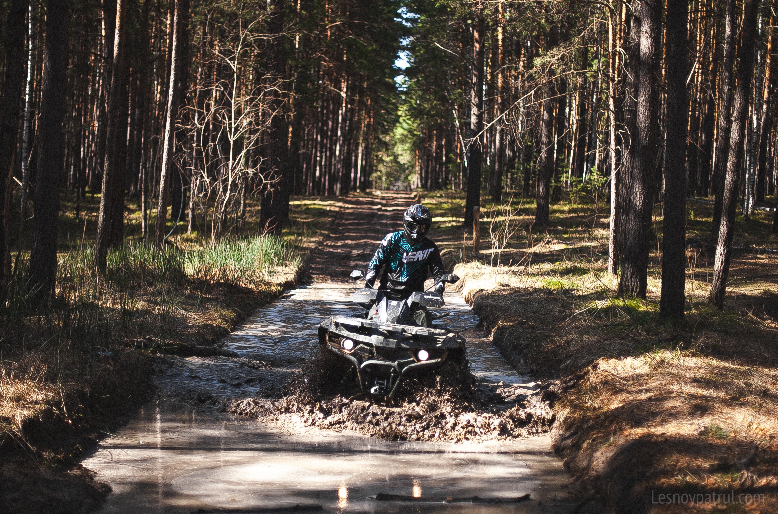 Лесной патруль