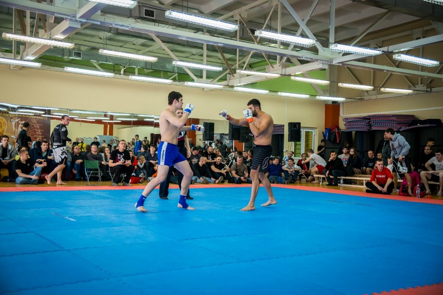 Белые тигры, ул. Дуси Ковальчук