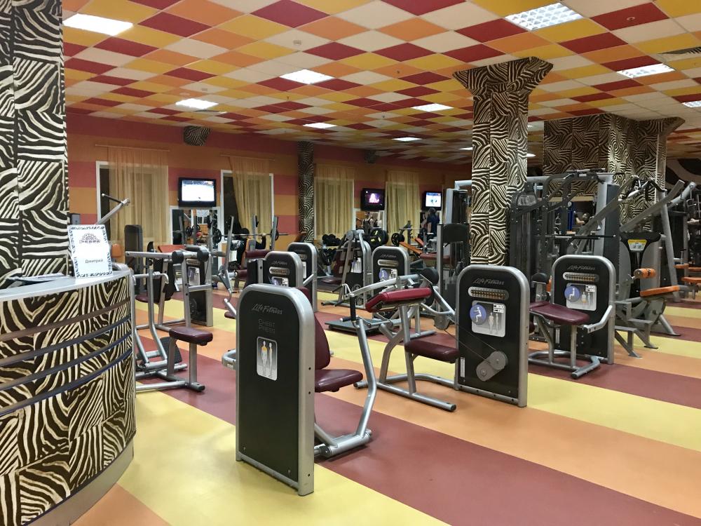 Зебра, м. Печатники