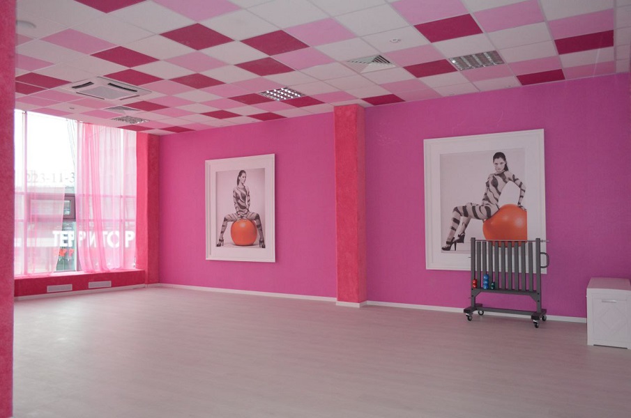 Зебра Олимпийский