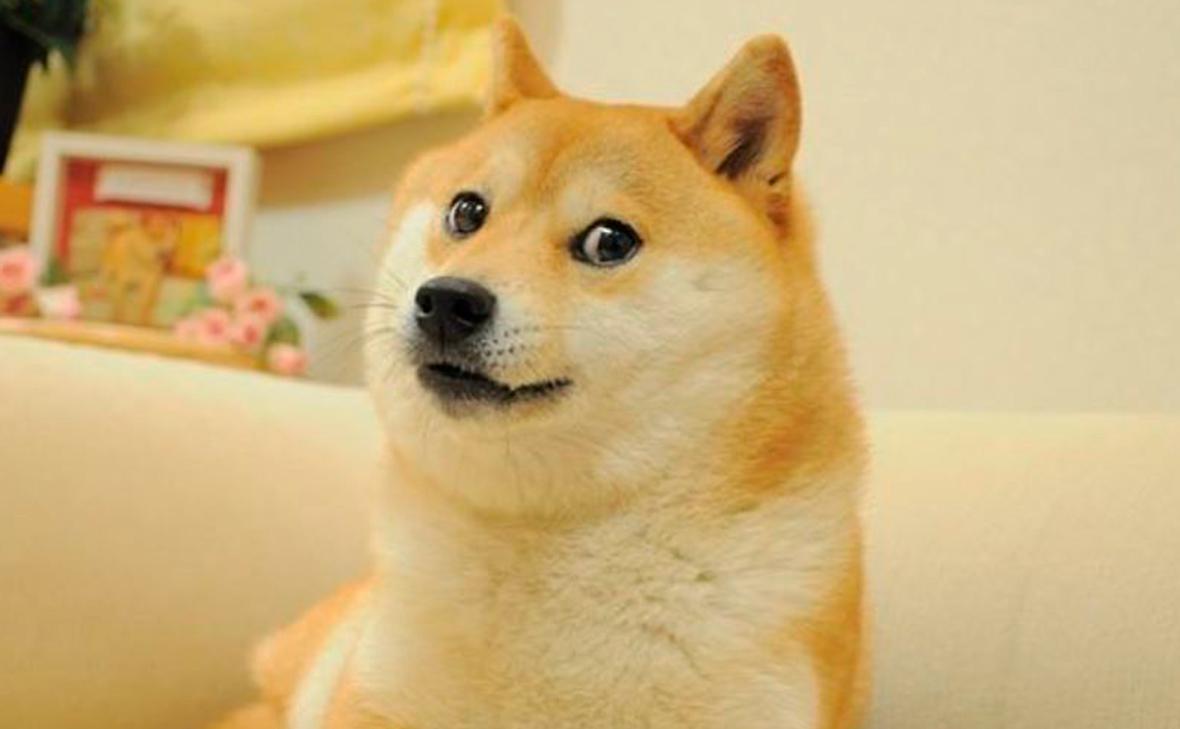 Sport Priority MainTest