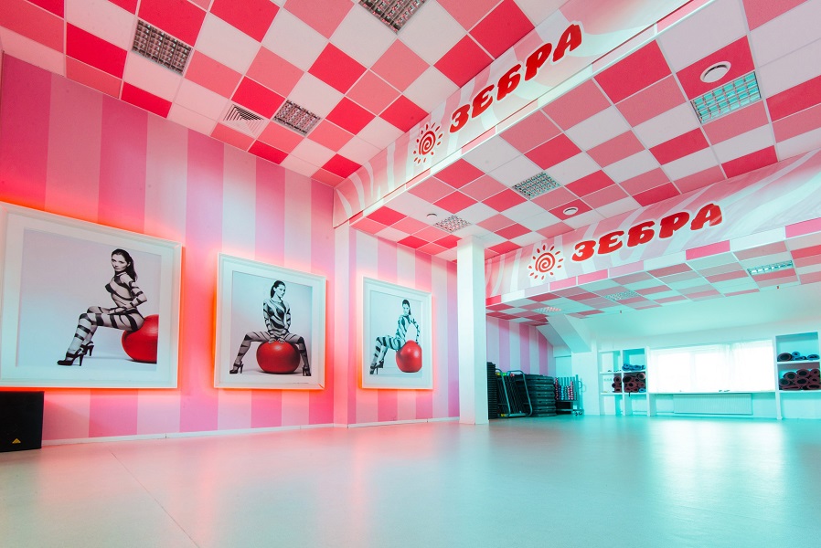 Зебра Алтуфьево