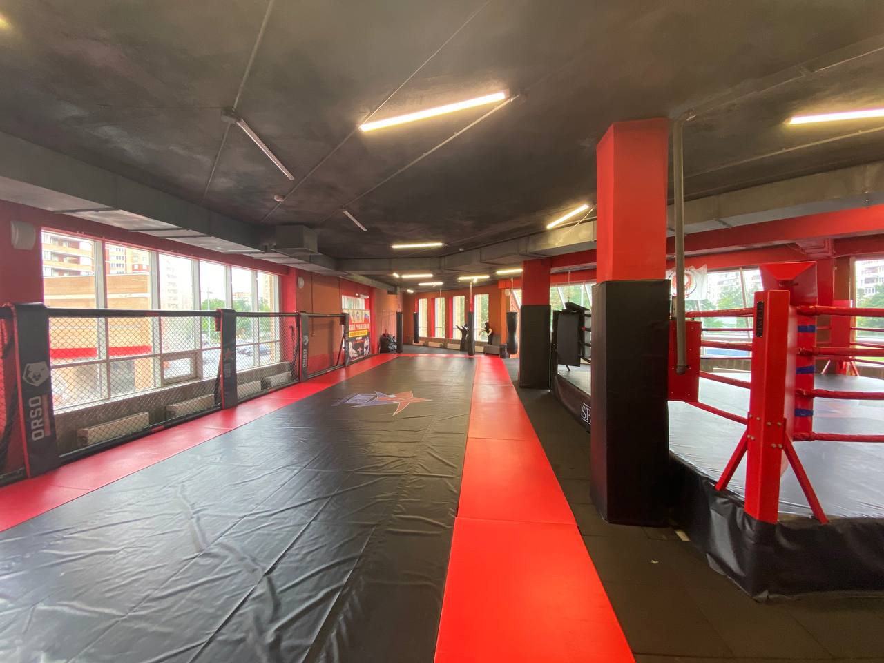 Участие в спаррингах/ открытый ринг