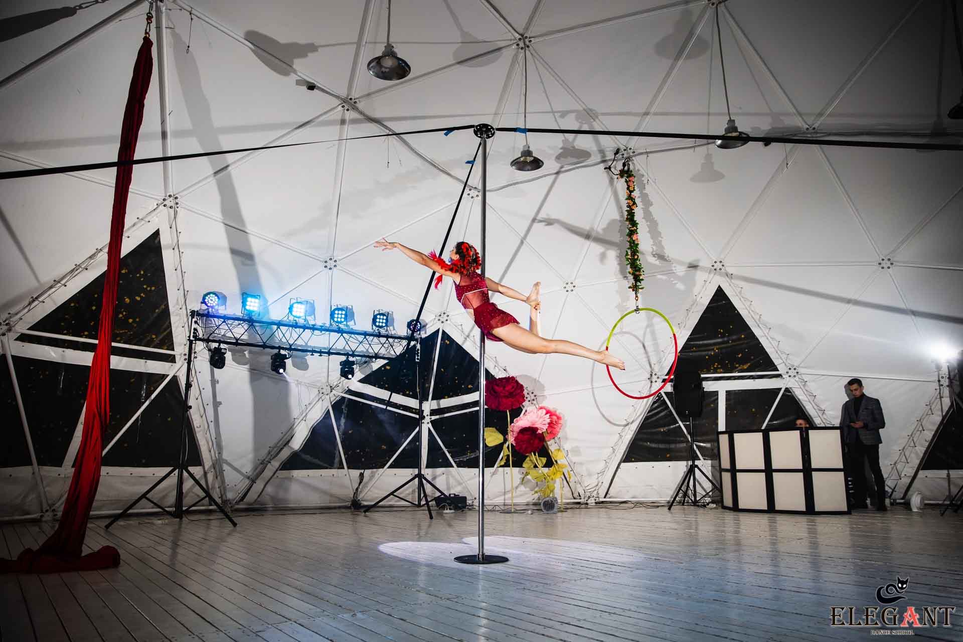 Elegant Pole Dance Kursk