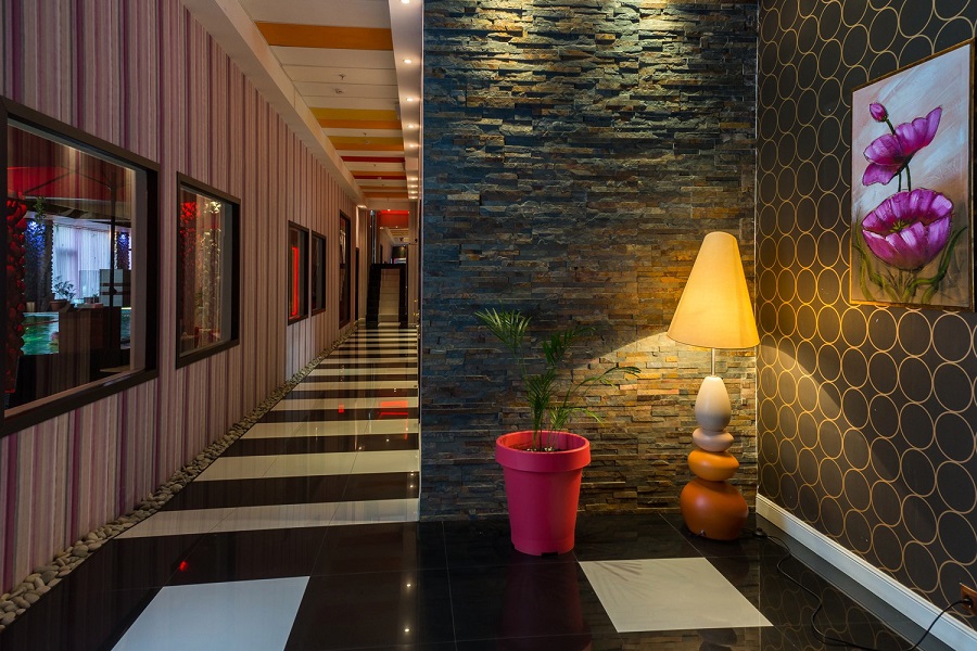 Зебра, м. Дубровка