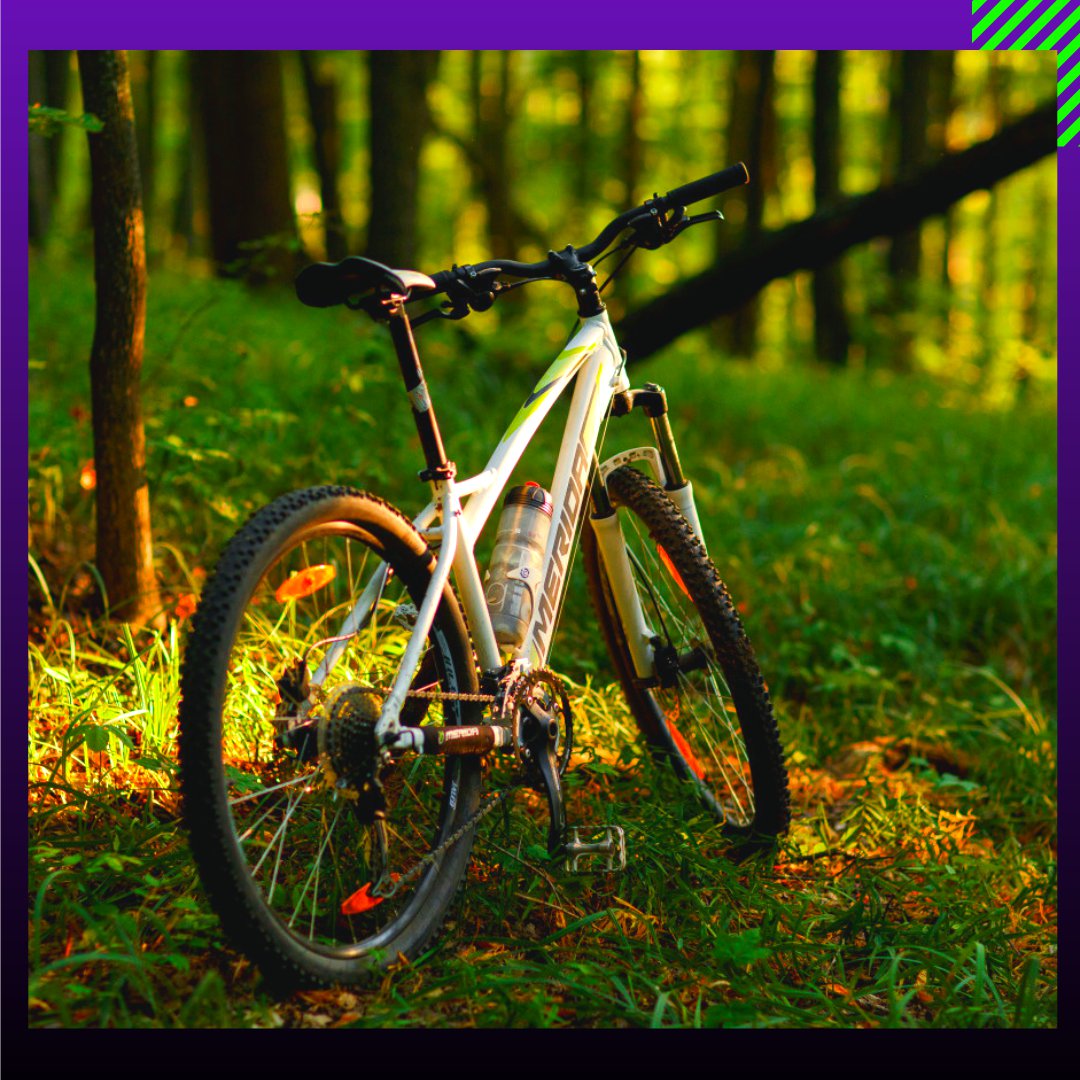 Альфаспорт